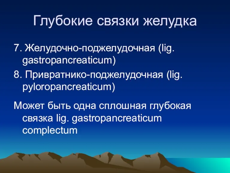 Глубокие связки желудка 7. Желудочно-поджелудочная (lig. gastropancreaticum) 8. Привратнико-поджелудочная (lig. pyloropancreaticum) Может