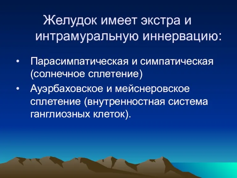 Желудок имеет экстра и интрамуральную иннервацию: Парасимпатическая и симпатическая (солнечное сплетение) Ауэрбаховское