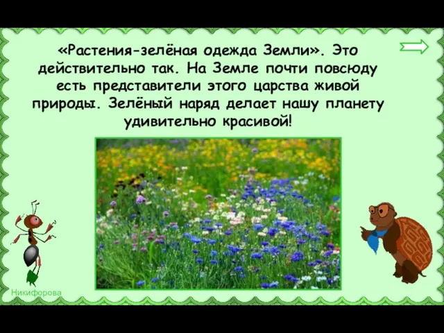 «Растения-зелёная одежда Земли». Это действительно так. На Земле почти повсюду есть представители