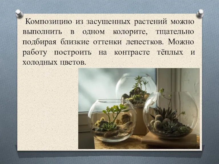 Композицию из засушенных растений можно выполнить в одном колорите, тщательно подбирая близкие