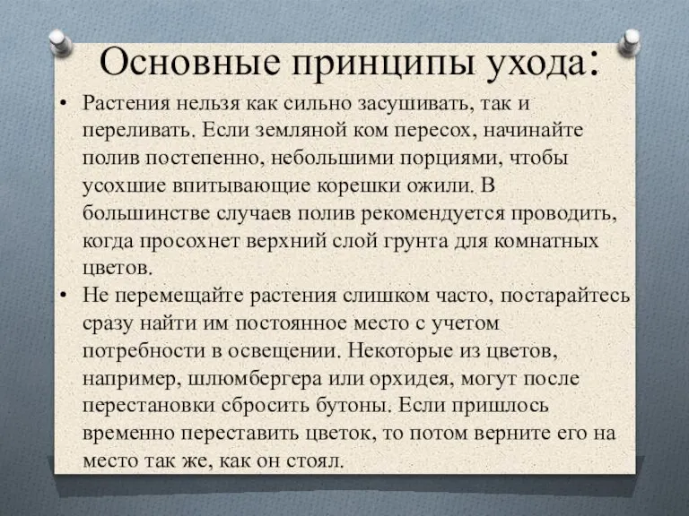 Основные принципы ухода: Растения нельзя как сильно засушивать, так и переливать. Если