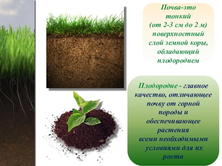 Почва-это тонкий (от 2-3 см до 2 м) поверхностный слой земной коры,