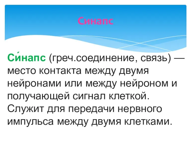 Синапс Си́напс (греч.соединение, связь) — место контакта между двумя нейронами или между