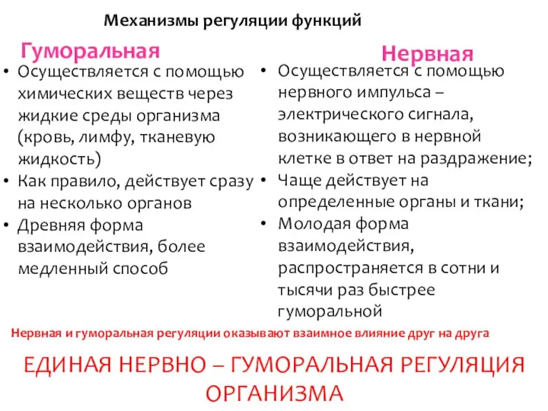 Механизмы регуляции функций организма Гуморальная Нервная Осуществляется с помощью химических веществ через