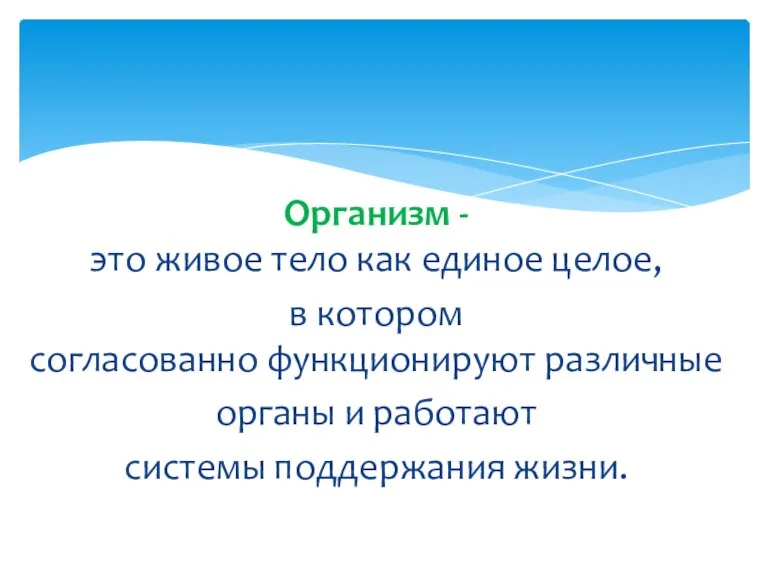 Организм - это живое тело как единое целое, в котором согласованно функционируют