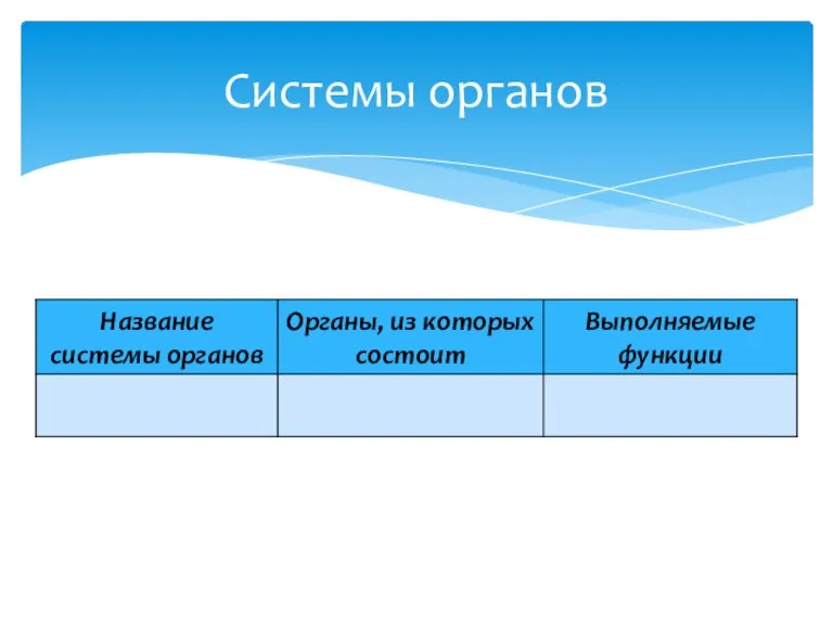 Системы органов