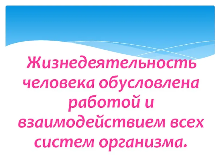 Жизнедеятельность человека обусловлена работой и взаимодействием всех систем организма.