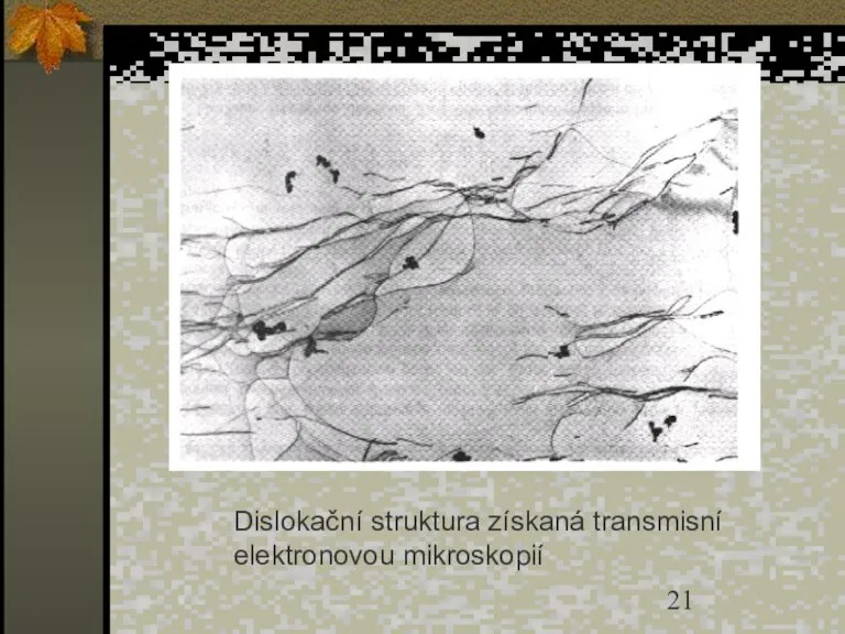 Dislokační struktura získaná transmisní elektronovou mikroskopií