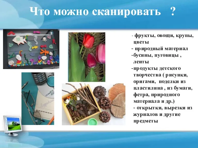 Что можно сканировать ? фрукты, овощи, крупы, цветы природный материал бусины, пуговицы