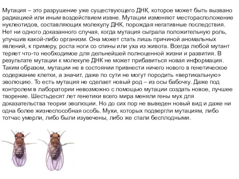 Мутация – это разрушение уже существующего ДНК, которое может быть вызвано радиацией