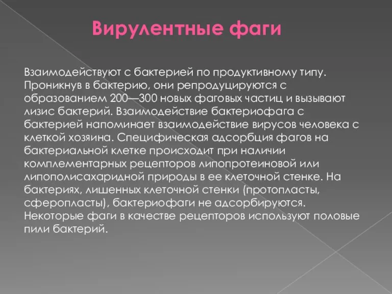 Взаимодействуют с бактерией по продуктивному типу. Проникнув в бактерию, они репродуцируются с