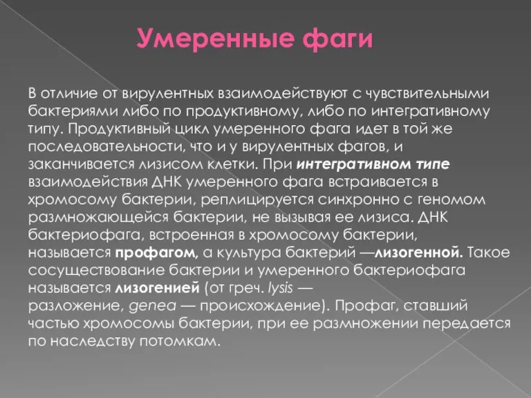 В отличие от вирулентных взаимодействуют с чувствительными бактериями либо по продуктивному, либо