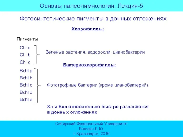 Основы палеолимнологии. Лекция-5 Сибирский Федеральный Университет Рогозин Д.Ю. г. Красноярск, 2016 Фотосинтетические