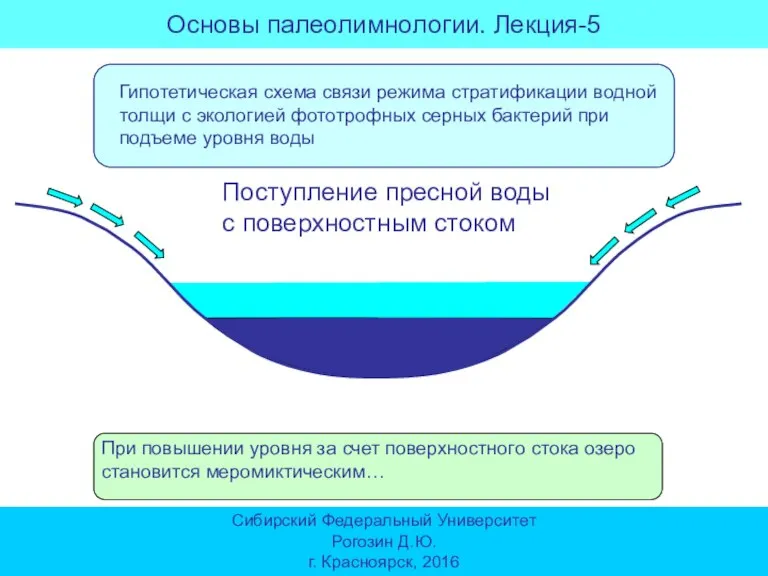 Поступление пресной воды с поверхностным стоком При повышении уровня за счет поверхностного