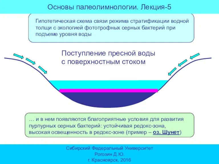 Поступление пресной воды с поверхностным стоком … и в нем появляются благоприятные