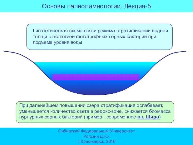 При дальнейшем повышении озера стратификация ослабевает, уменьшается количество света в редокс-зоне, снижается