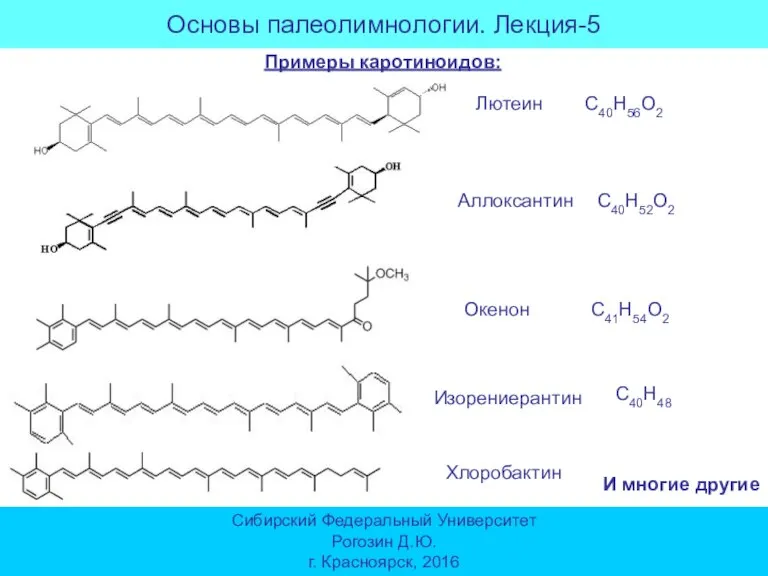 Основы палеолимнологии. Лекция-5 Сибирский Федеральный Университет Рогозин Д.Ю. г. Красноярск, 2016 Примеры