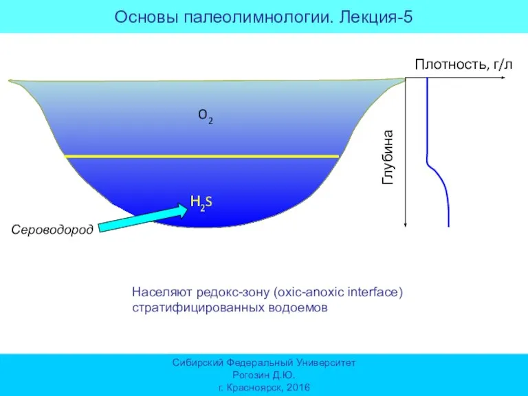 Плотность, г/л Глубина Сероводород O2 Н2S Сибирский Федеральный Университет Рогозин Д.Ю. г.