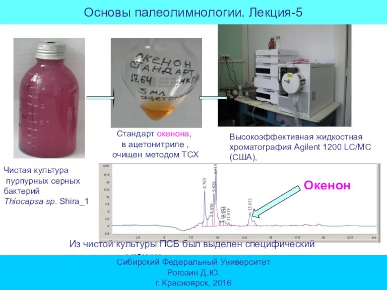 Чистая культура пурпурных серных бактерий Thiocapsa sp. Shira_1 Стандарт окенона, в ацетонитриле