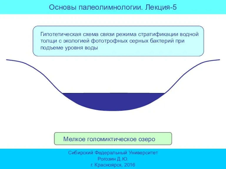 Мелкое голомиктическое озеро Основы палеолимнологии. Лекция-5 Сибирский Федеральный Университет Рогозин Д.Ю. г. Красноярск, 2016