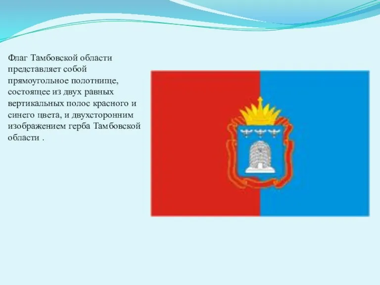 Флаг Тамбовской области представляет собой прямоугольное полотнище, состоящее из двух равных вертикальных
