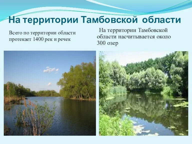 На территории Тамбовской области Всего по территории области протекает 1400 рек и