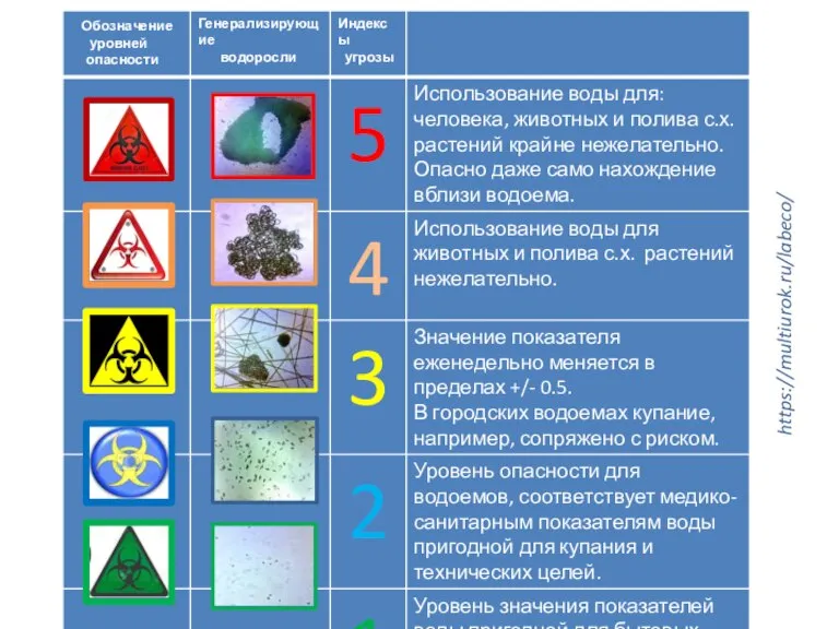 https://multiurok.ru/labeco/