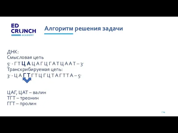 Алгоритм решения задачи ДНК: Смысловая цепь 5, - Г Т Ц А