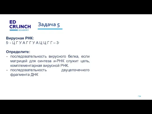 Задача 5 Вирусная РНК: 5, - Ц Г У А Г Г