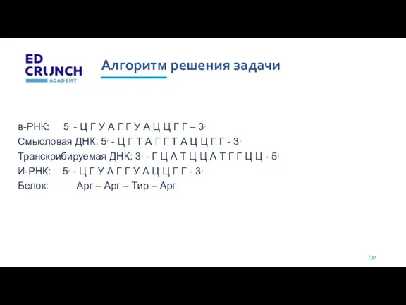 Алгоритм решения задачи в-РНК: 5, - Ц Г У А Г Г