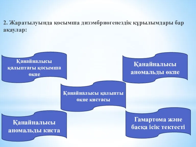 2. Жаратылуында қосымша дизэмбриогенездік құрылымдары бар ақаулар: Қанайналысы қалыптағы қосымша өкпе Қанайналысы