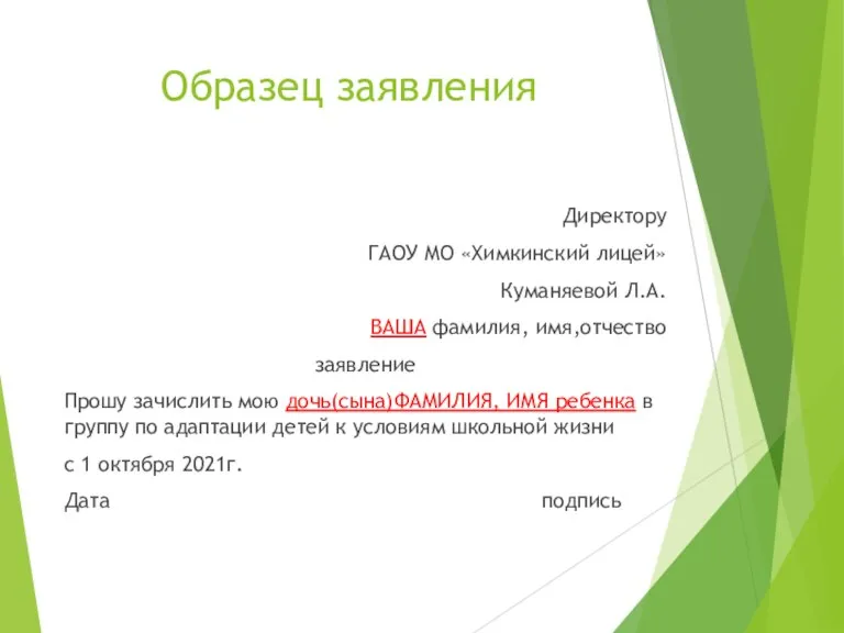 Образец заявления Директору ГАОУ МО «Химкинский лицей» Куманяевой Л.А. ВАША фамилия, имя,отчество