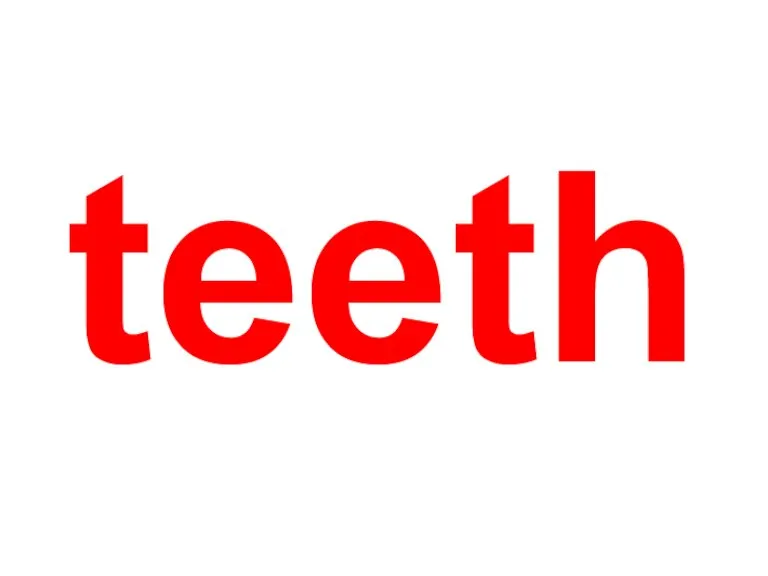 teeth