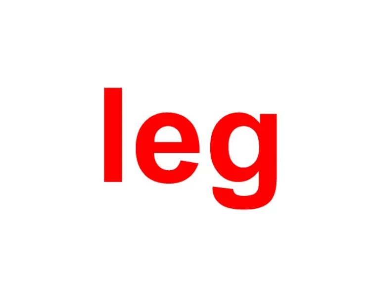 leg