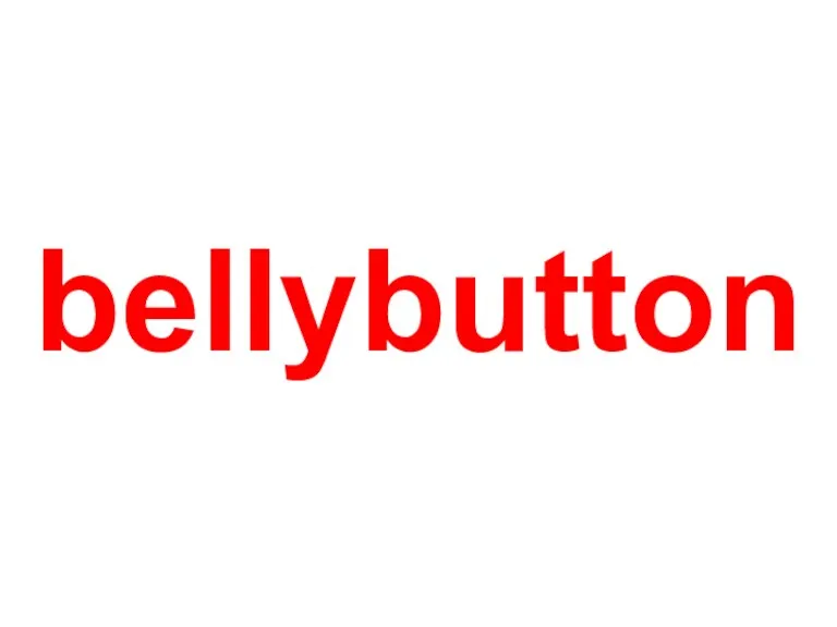 bellybutton