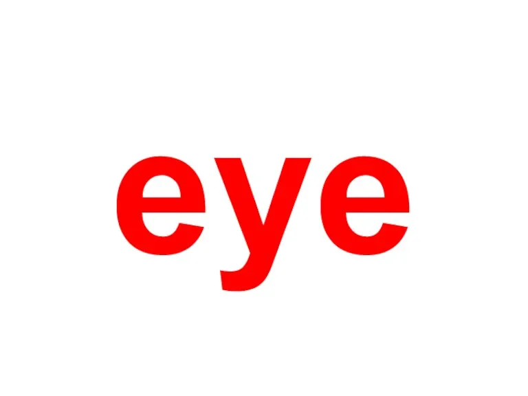 eye