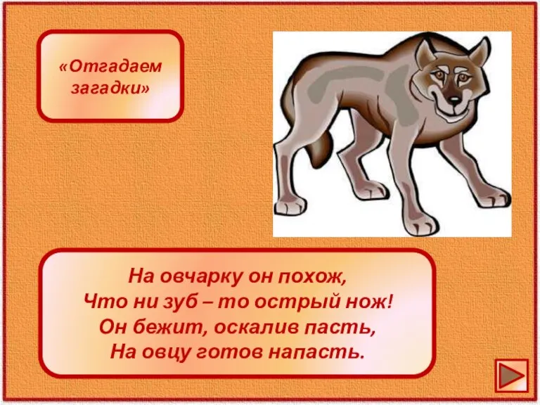 На овчарку он похож, Что ни зуб – то острый нож! Он