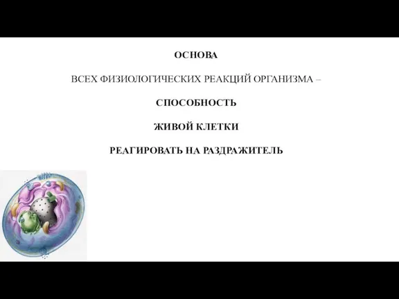 ОСНОВА ВСЕХ ФИЗИОЛОГИЧЕСКИХ РЕАКЦИЙ ОРГАНИЗМА – СПОСОБНОСТЬ ЖИВОЙ КЛЕТКИ РЕАГИРОВАТЬ НА РАЗДРАЖИТЕЛЬ