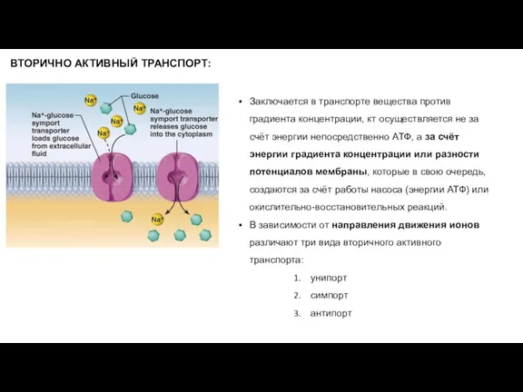 Заключается в транспорте вещества против градиента концентрации, кт осуществляется не за счёт