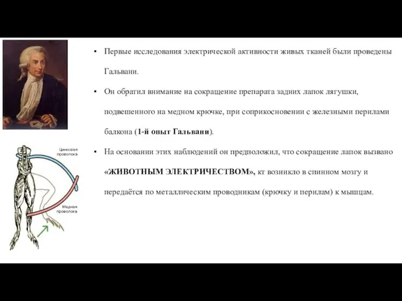 Первые исследования электрической активности живых тканей были проведены Гальвани. Он обратил внимание