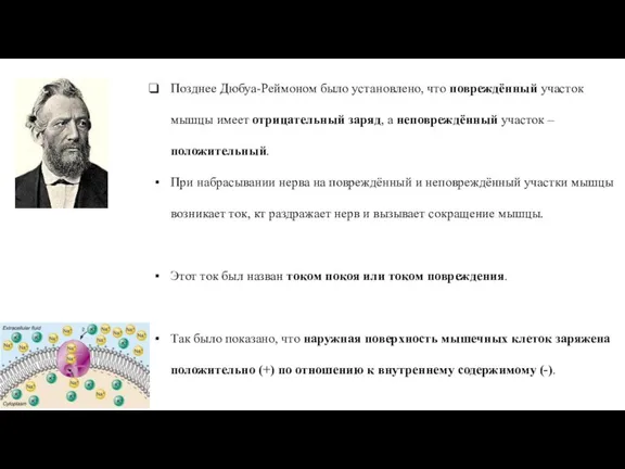 Позднее Дюбуа-Реймоном было установлено, что повреждённый участок мышцы имеет отрицательный заряд, а