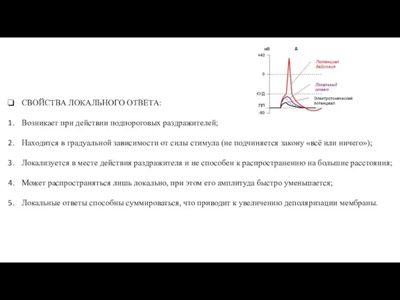 СВОЙСТВА ЛОКАЛЬНОГО ОТВЕТА: Возникает при действии подпороговых раздражителей; Находится в градуальной зависимости