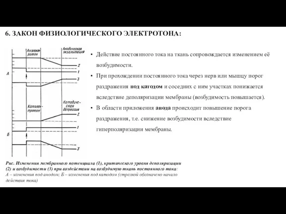 6. ЗАКОН ФИЗИОЛОГИЧЕСКОГО ЭЛЕКТРОТОНА: Действие постоянного тока на ткань сопровождается изменением её