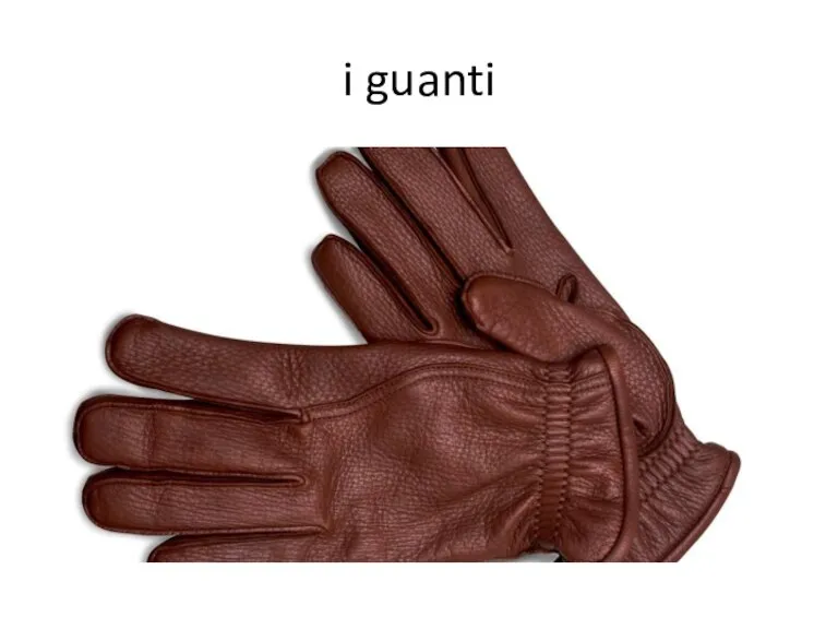 i guanti