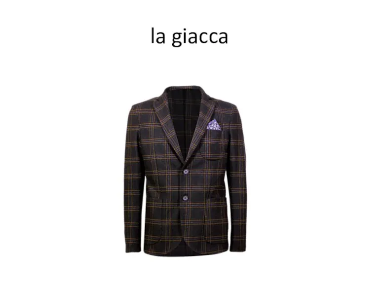 la giacca