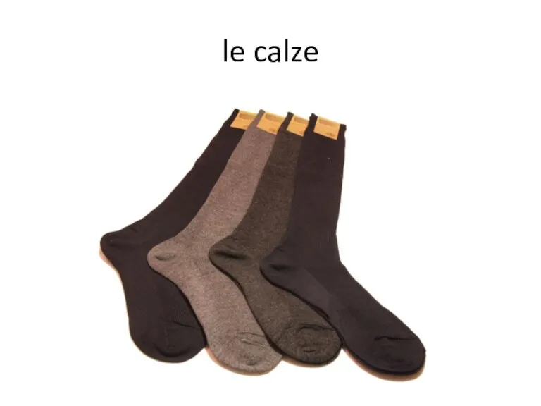 le calze