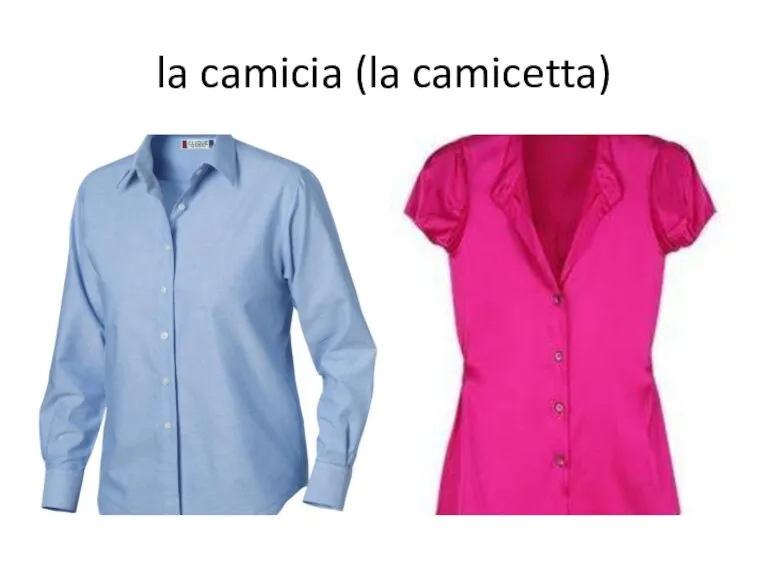 la camicia (la camicetta)