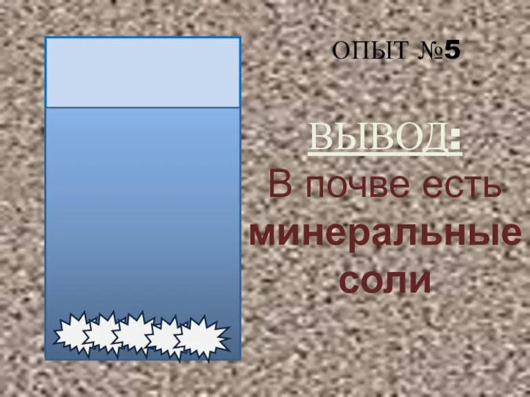 ОПЫТ №5 ВЫВОД: В почве есть минеральные соли