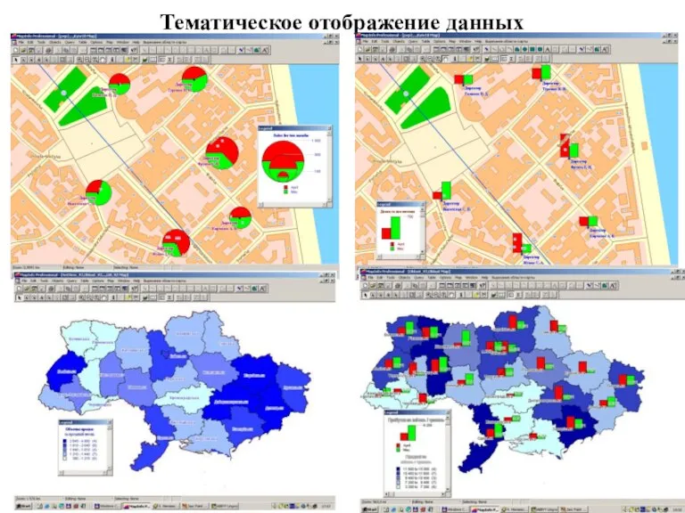 Тематическое отображение данных