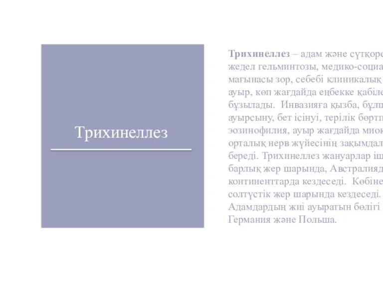 Трихинеллез Трихинеллез – адам және сүтқоректілердің жедел гельминтозы, медико-социальды мағынасы зор, себебі